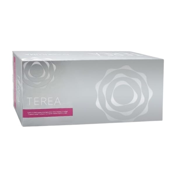 Heets TEREA Silver from Kazakhstan in Dubai