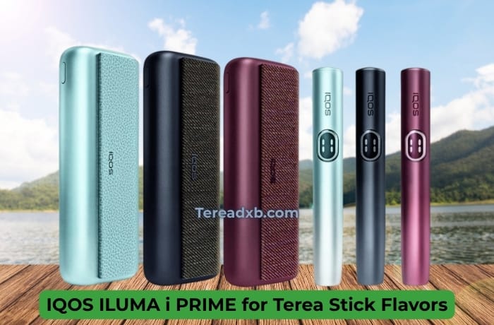 IQOS ILUMA i PRIME for Terea Stick Flavors